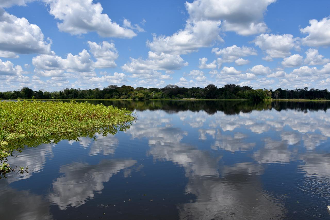 Yaku Amazon Lodge & Expeditions Paraíso Exterior foto